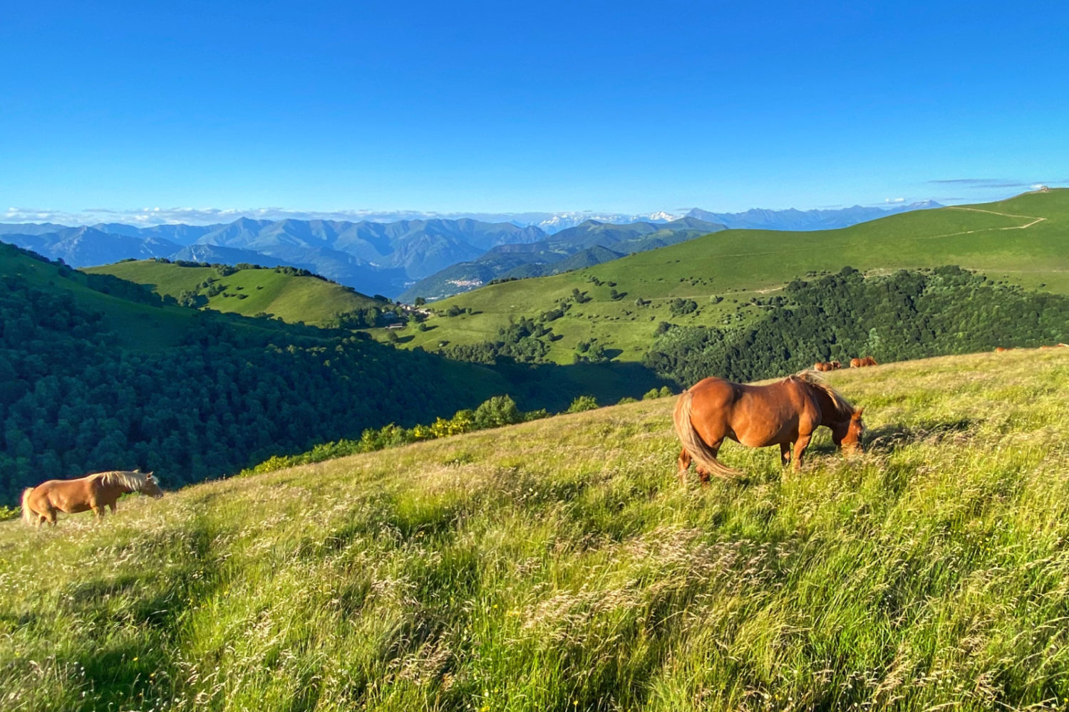 RideAlps.ch Monte Generoso